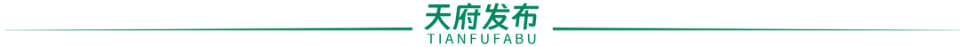 成都这座城