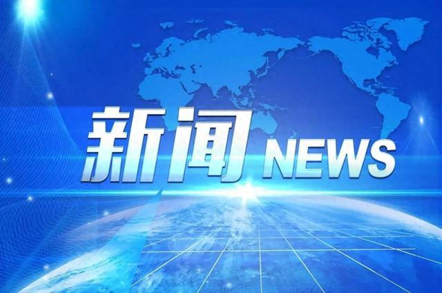 限皮艇个人, img, 冠军