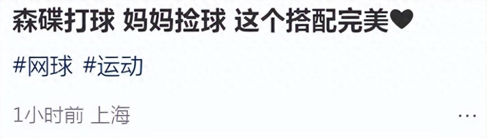 hpnqh, 望森碟能有